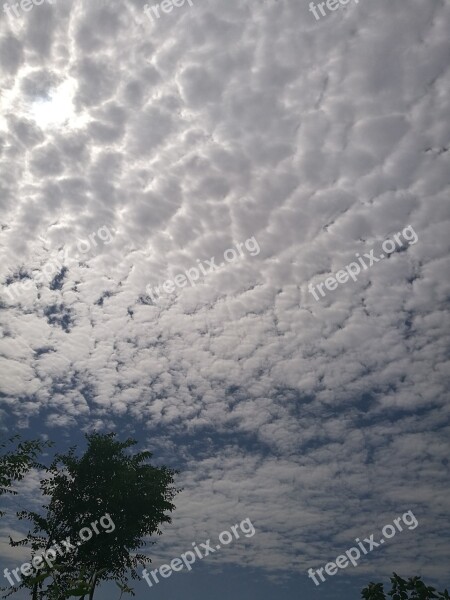 Sunny Days White Cloud Fresh Free Photos