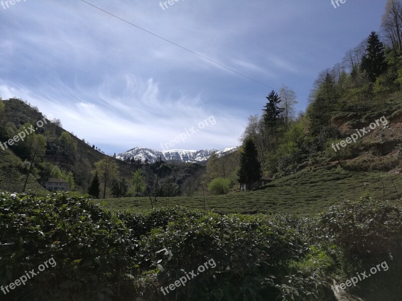 Rize Turkey Mountain Landscape Tea