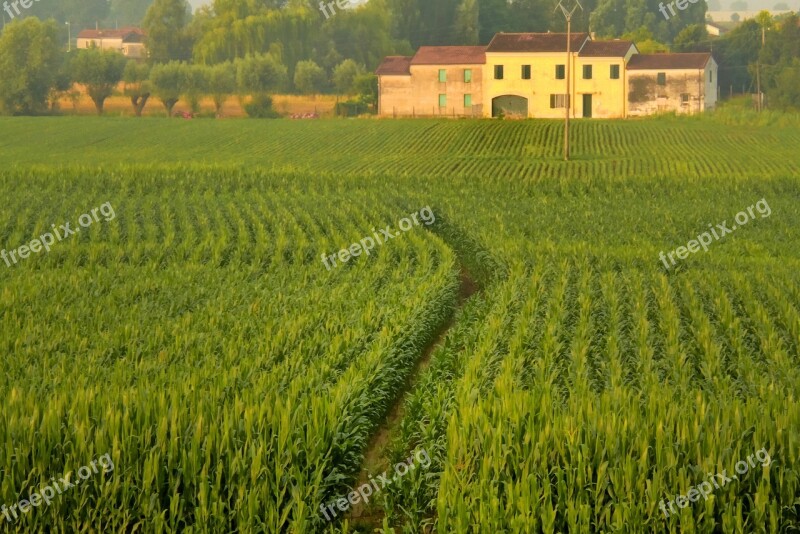 Crop Landscape Agricultural Farm House Green