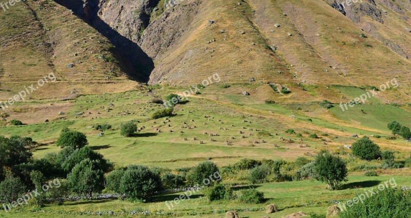 Eastern Black Sea Kaçkars Nature Landscape Green