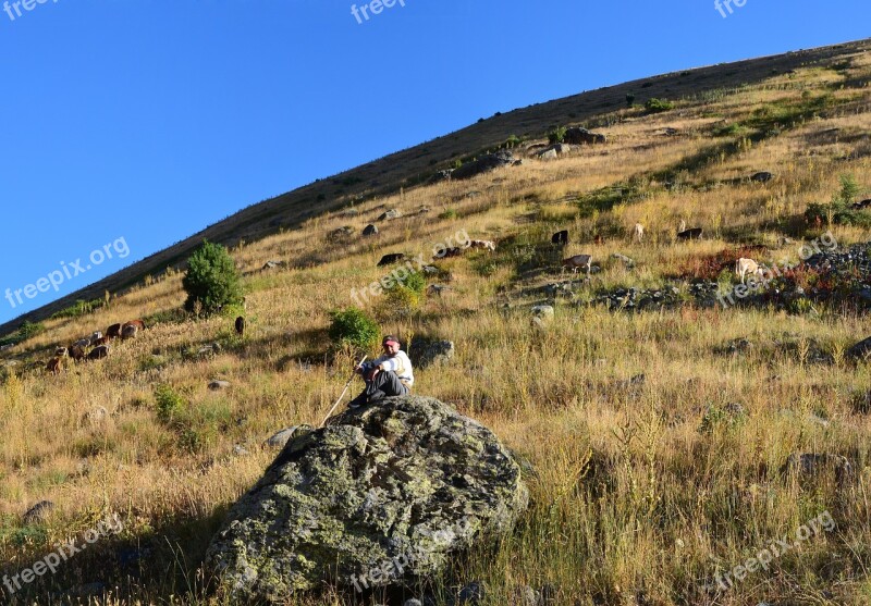 Eastern Black Sea Kaçkars Nature Landscape Green