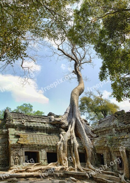 Ta Prohm Cambodia Angkor Wat Tourism