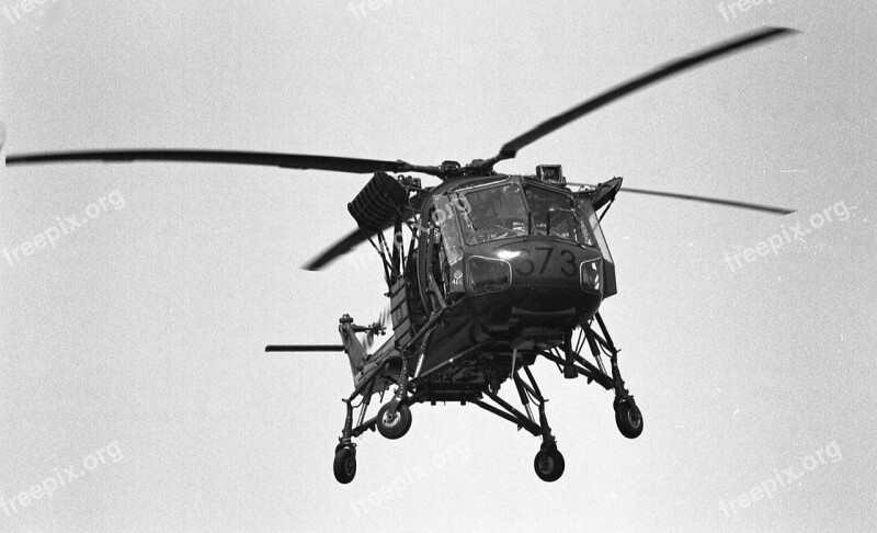 Wasp Helicopter Falklands 1982 Aviation