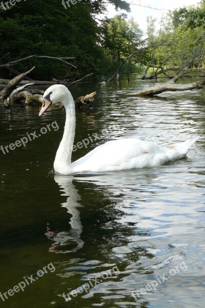 Swan River Rafting Free Photos