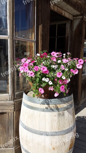 Barrel Flowers Pink Flowers Porch Rustic