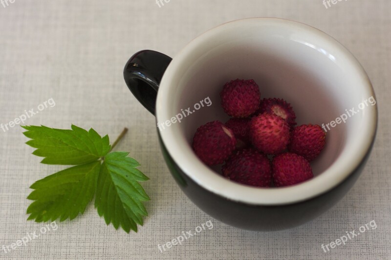 Wild Strawberries Strawberry Wild Plant Red Berry