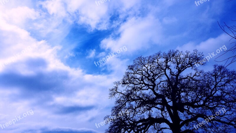 Trees Sky Clouds Blue Storm