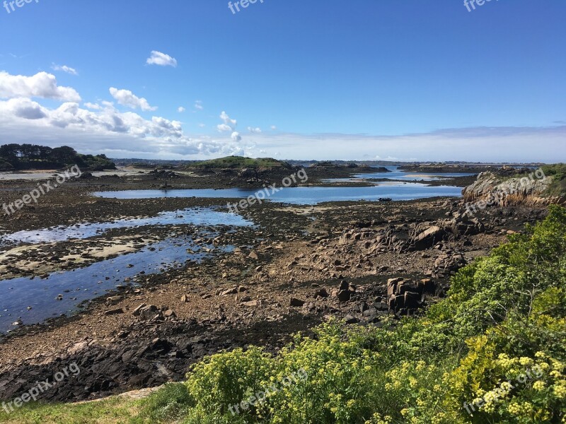 Brittany Island Bréhat Sea Ile Wild