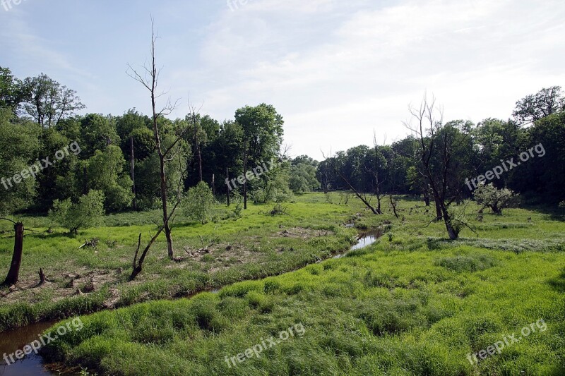 Strorage Torrent River Marsh Sentimental