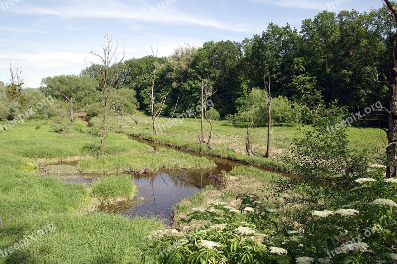 Strorage Torrent River Marsh Sentimental