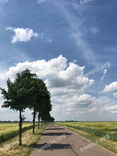 Sky Road Nature Landscape Blue