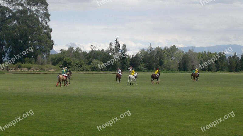 Court Polo Sky Players Free Photos