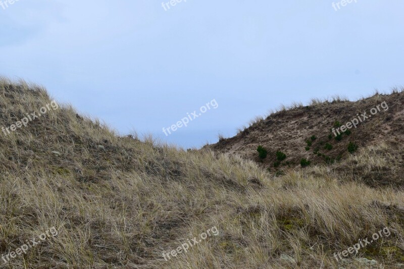 Skagen Landscape Denmark Scandinavia Grass