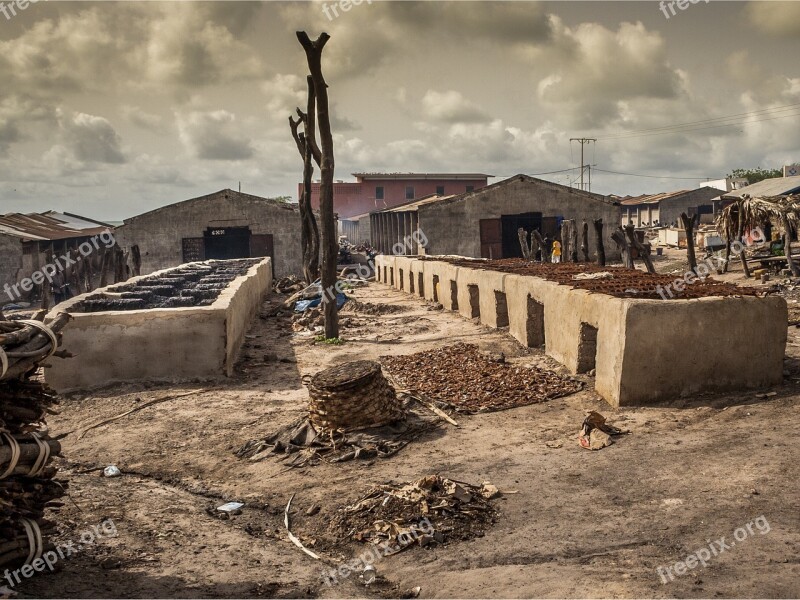 The Gambia Fish Salt Lick Free Photos