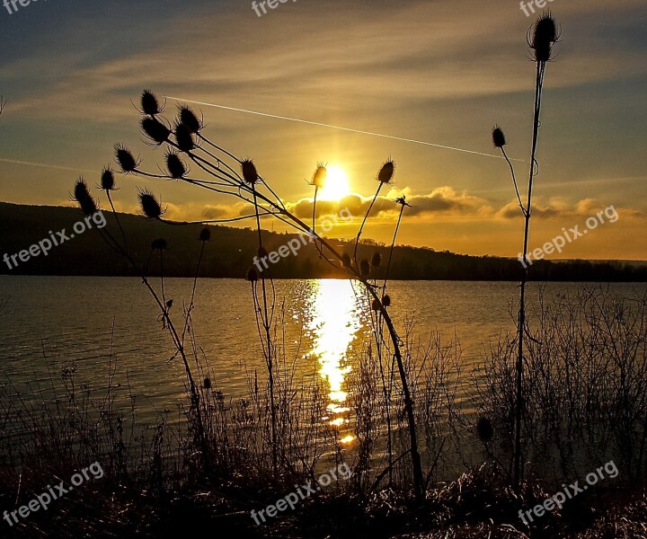 Gravel Pond Pond Water Lake Landscape