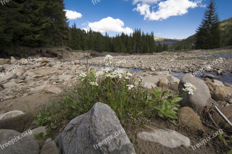 The Carpathians Landscape Nature Mountains Ukraine