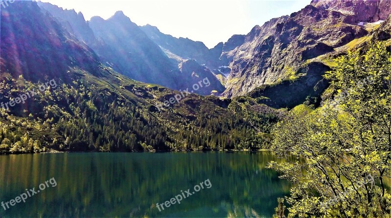 Buried Nature Polish Tatras Free Photos