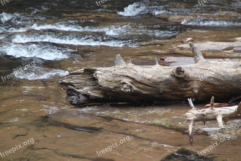 Cascade Falls Virginia Fallen Tree Nature Waterfall