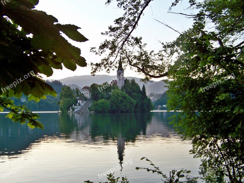 Chapel Island Lake Bled Perspective Slovenia