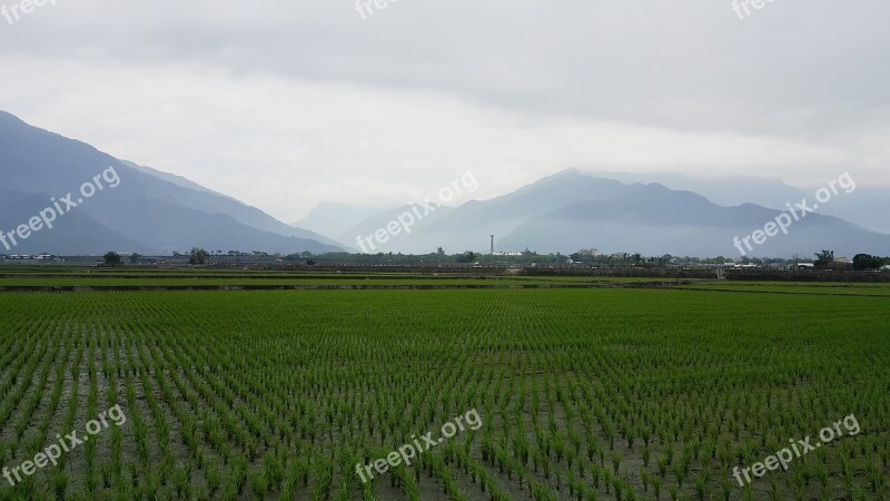 Paddy Mountains Natural Morning Spring