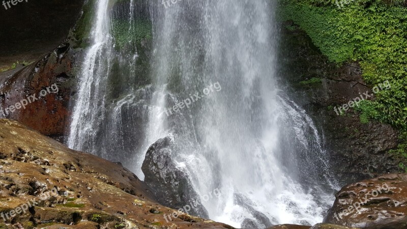 Falls Spring Redwood Forest Creek Scenic Views Free Photos