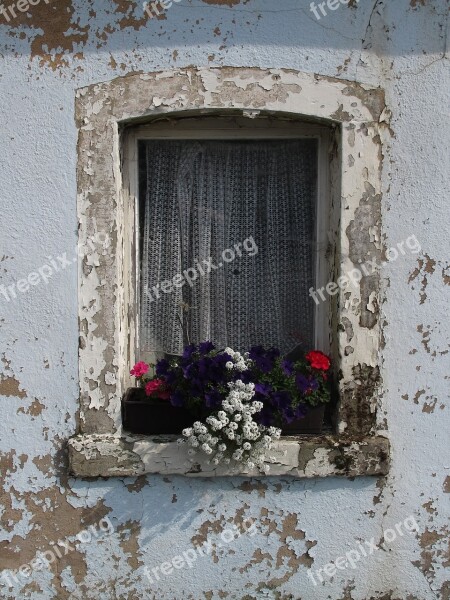 Window Flower Old Window Old Facade