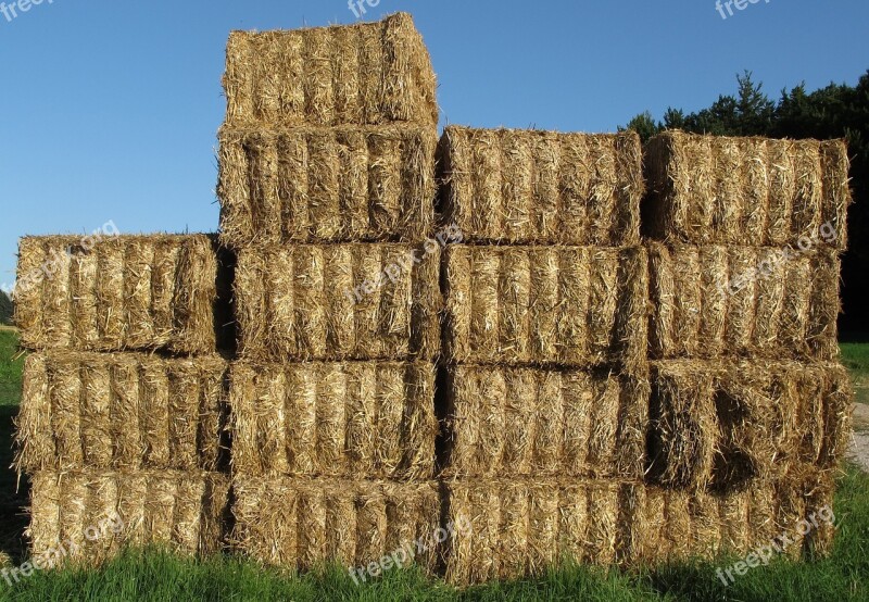 Straw Straw Bales Bale Hay Hay Bales