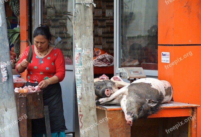 Nepal Kathmandu Woman Pig Slaughter