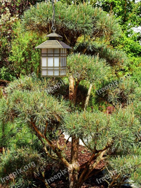 Japan Garden Japanese Garden Lantern Light Lamp