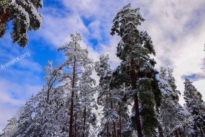 Sky Winter Nature Snow Frost