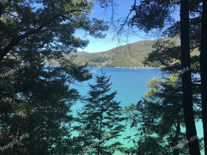 Sounds Marlborough Water Sea Trees