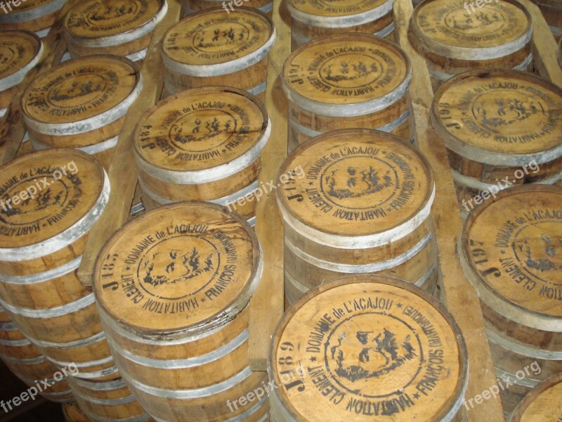 Martinique Rhumerie Wooden Barrels Free Photos