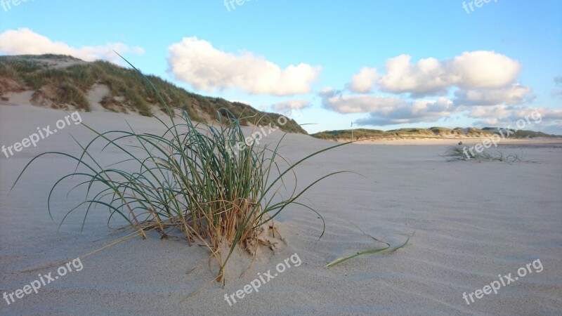 Denmark Dunes Sea Nature Vacations