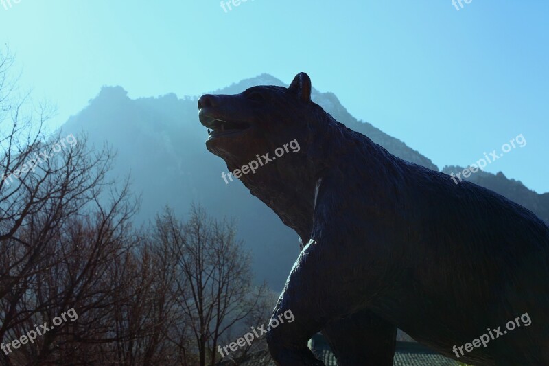 Bear Mountain Nature Forest Landscape