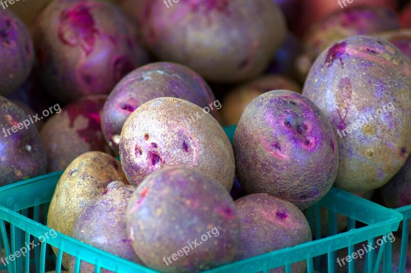 Purple Potatoes At Market Potatoes Market Jackson Wyoming Farmers