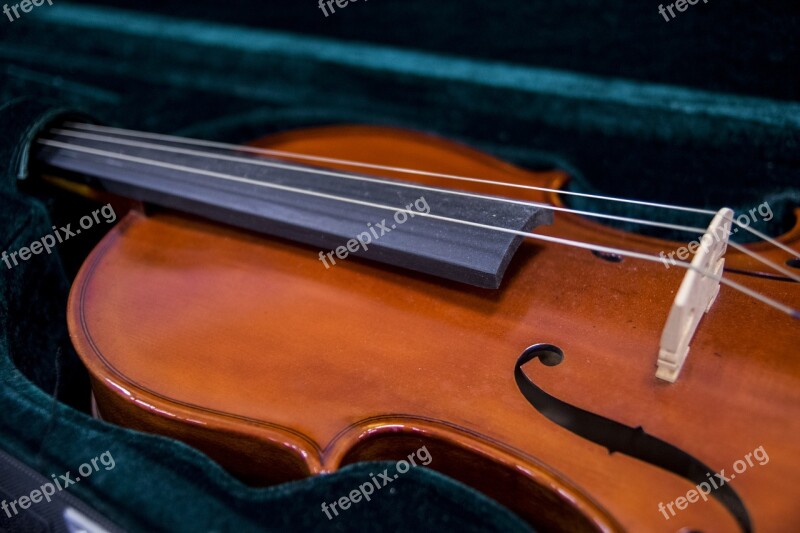 Violin Musical Instruments String Free Photos