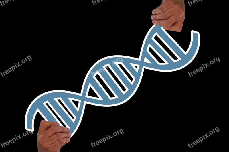 Hand Keep Deoxyribonucleic Acid Graphic Dna