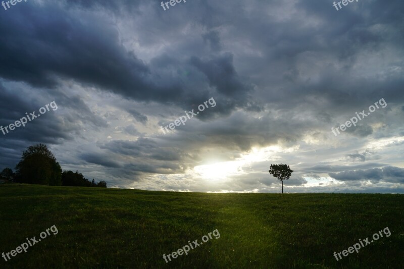 Tree Clouds Forward Sunset Cloudiness