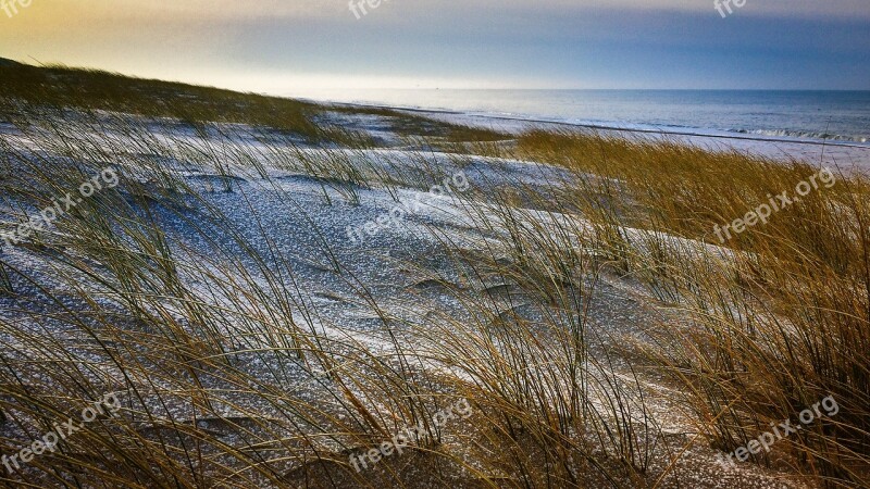 Winter North Sea Denmark Beach Frost