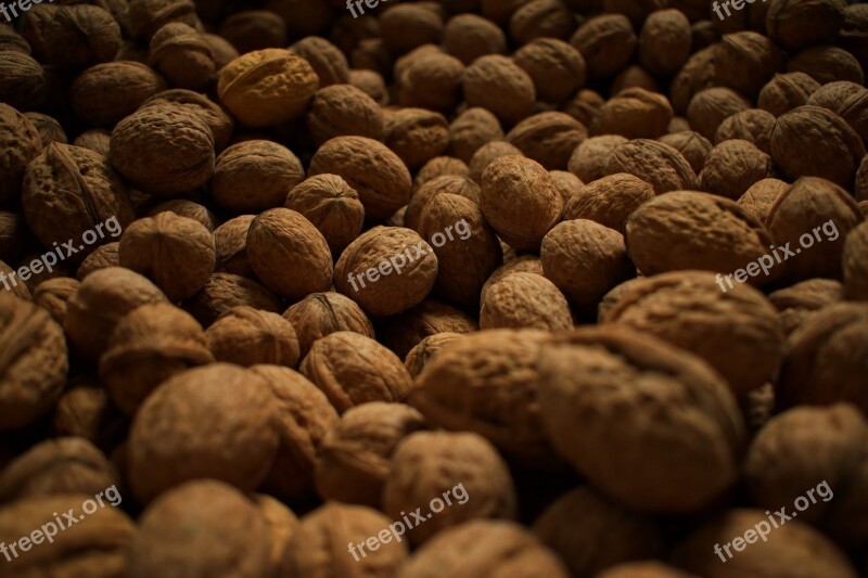 Walnut Nuts Walnuts Brown Harvest