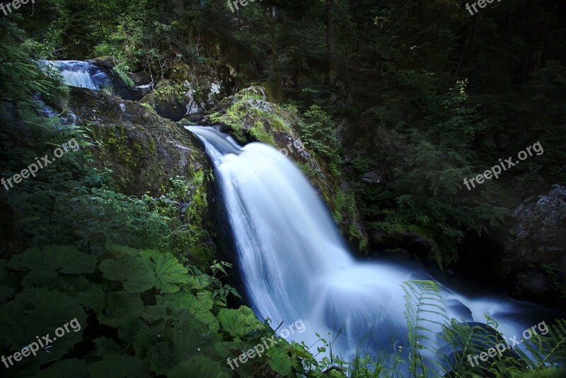 Waterfall Triberg Black Forest Water Free Photos