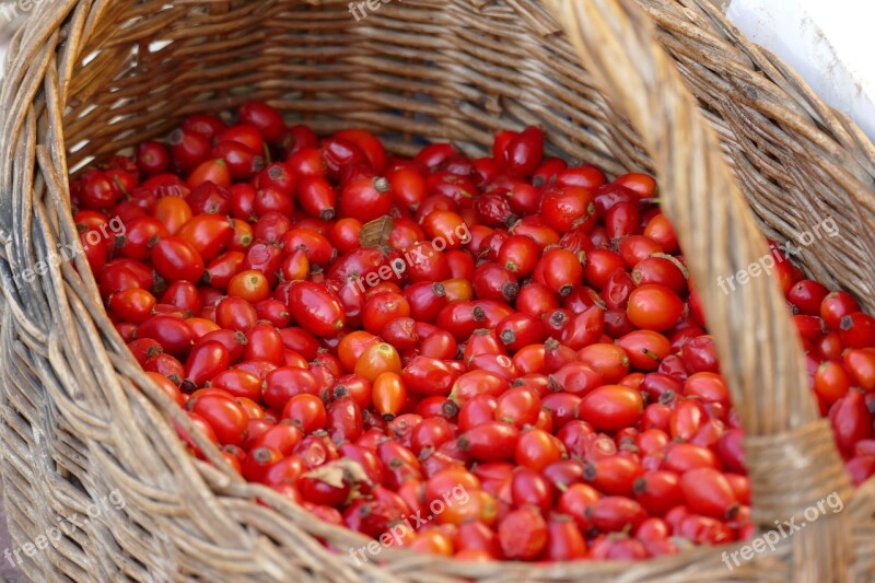 Rose Hip Basket Red Autumn Free Photos