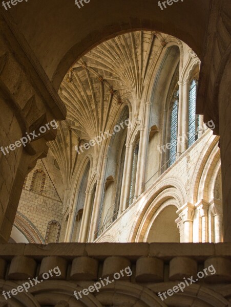 Cathedral Norwich Vault Blanket Architecture