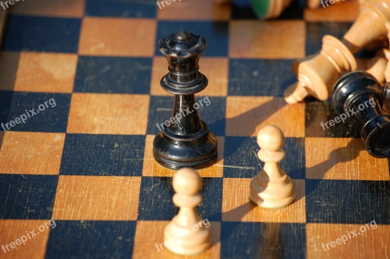 Lost Chess Chess Pieces Free Photos