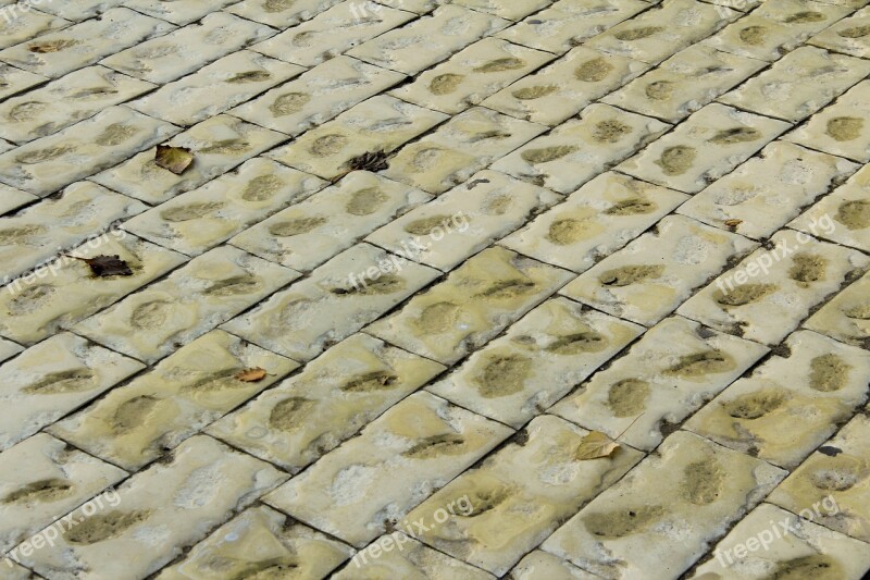 Pavement Tile Stone Texture Street