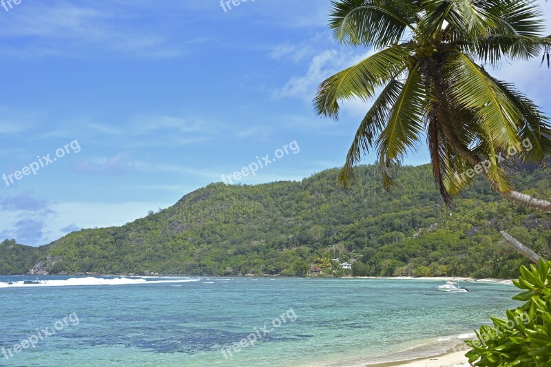 Seychelles Praslin Palm Trees Sand Island