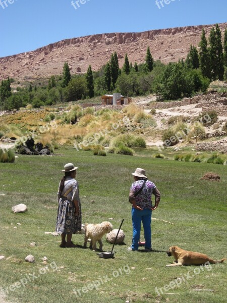 South America Chile Nature Landscape Atacama Desert