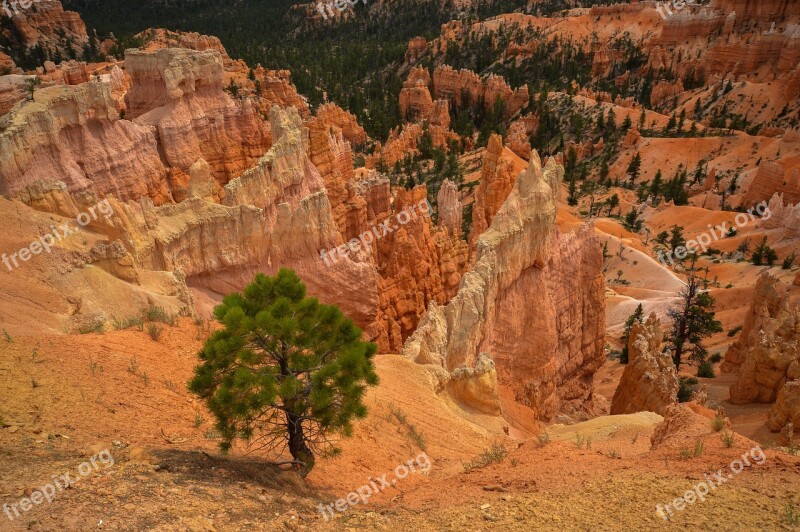 Bryce Canyon Usa Vacations National Park Travel