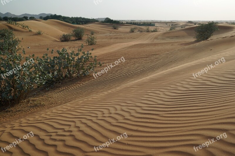 Desert Travel Sand Landscape History