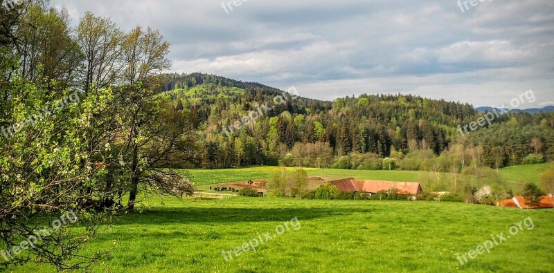 Nature Landscape Meadow Farmhouse Farm